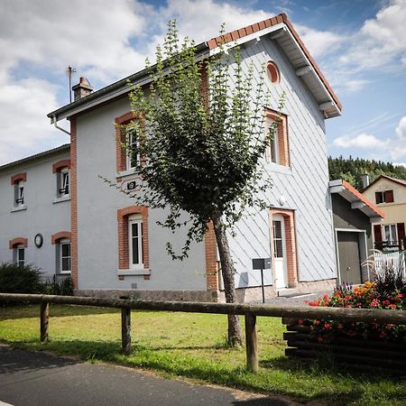 Villa La Halte 19 à Ban-sur-Meurthe-Clefcy Extérieur photo